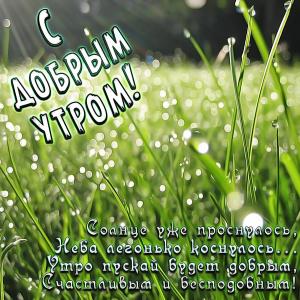 Открытка с травкой в утренней росе