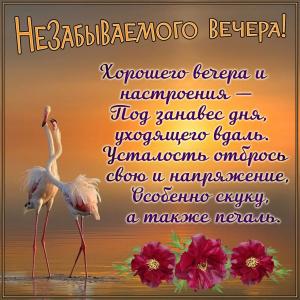 Пожелание приятного вечера на картинке с птицами