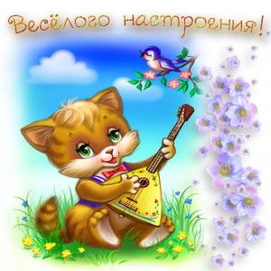 Милая открытка со смешным котёнком