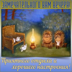 Картинка с милыми ежиками замечательным вечером
