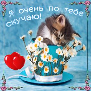 Картинка очень по тебе скучаю с котиком