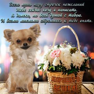 Красивая открытка с корзинкой цветов