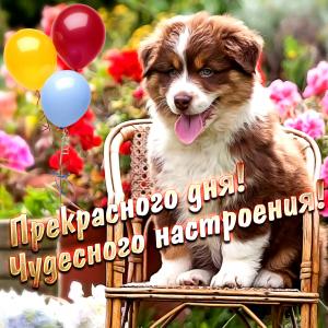 Милая открытка с собачкой и шариками