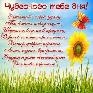 Открытка с пожеланием в стихах на милом фоне