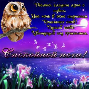 Картинка спокойной ночи с забавным филином