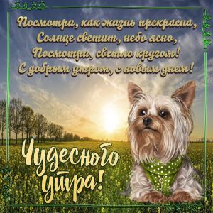 Картинка с собачкой и пожеланием чудесного утра