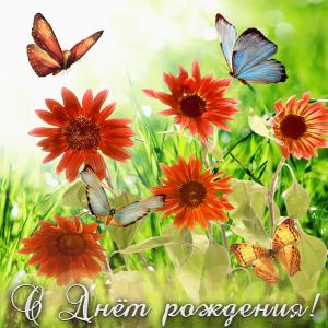 Добрая открытка с цветами и бабочками