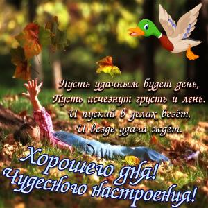 Открытка с красивым пожеланием хорошего дня