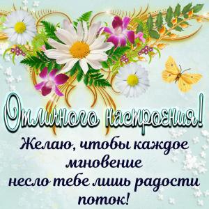 Картинка с цветами для отличного настроения