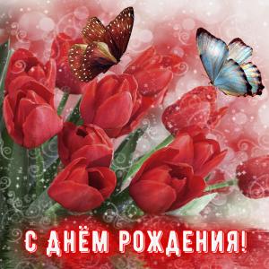 Картинка с бабочками на тюльпанах