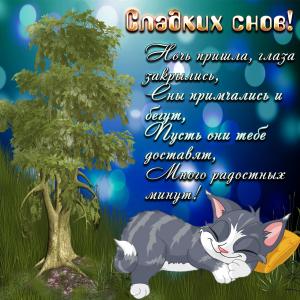 Открытка с котиком, спящим под деревом