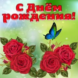 Открытка с розами и бабочкой для девушки