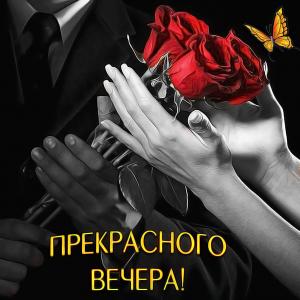 Открытка с розами для прекрасного вечера
