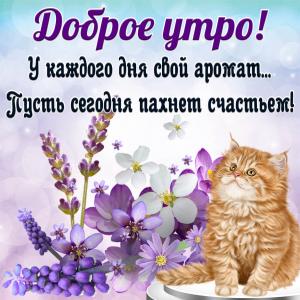 Яркая открытка с котиком желающим доброго утра