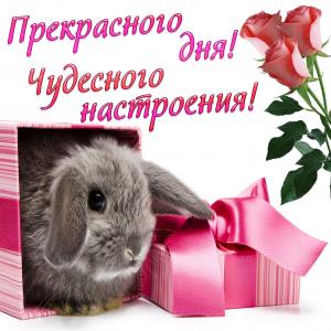 Милая открытка с кроликом и цветами