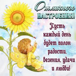 Картинка с подсолнухом для отличного настроения