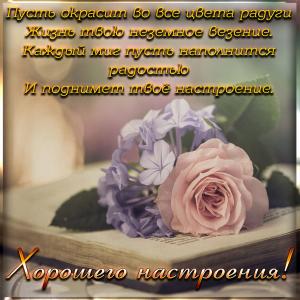 Открытка с милой розой для хорошего настроения