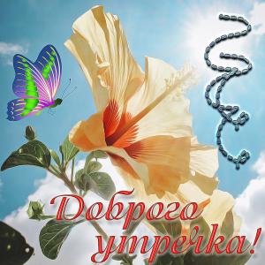 Открытка доброго утречка с цветочком