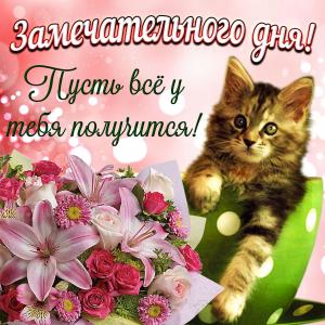 Открытка с котиком и пожеланием на день