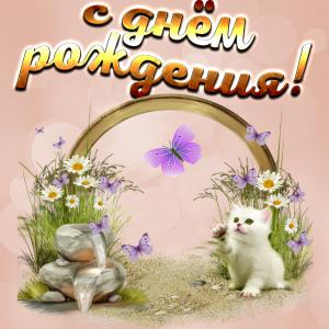 Открытка с милым котиком и бабочкой