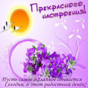 Картинка для прекрасного настроения с цветочками