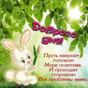 Картинка с зайчиком желающим доброго дня