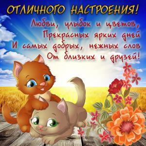 Яркая картинка для отличного настроения