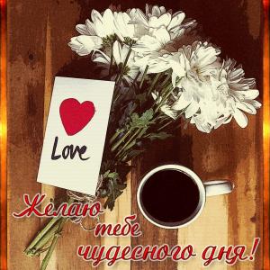 Картинка желаю тебе чудесного дня