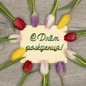 Открытка на День рождения с тюльпанами