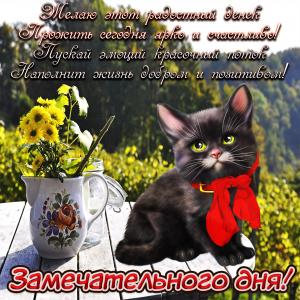 Милая картинка с букетиком и котом