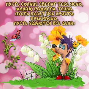 Открытка с пожеланием и забавным ёжиком