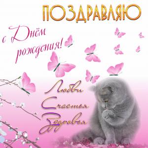 Открытка с котиком на День рождения женщине