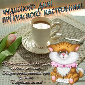 Картинка с котиком и пожеланием чудесного дня