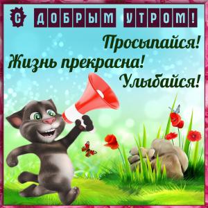 Котик с рупором зовёт всех просыпаться