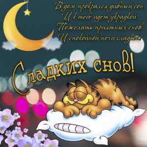 Милая картинка с котом и пожеланием сладких снов