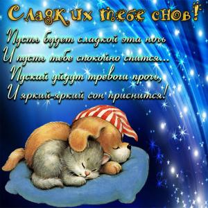 Милая открытка со спящими котиком и собачкой