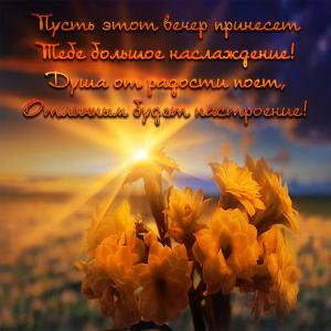 Картинка с цветами на фоне заката