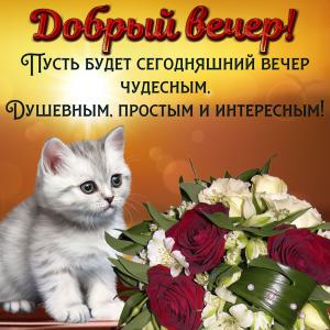 Котёнок желает доброго вечера на милой открытке