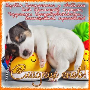 Милая открытка со спящим щеночком