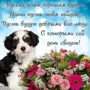 Картинка с собачкой и пожеланием на день