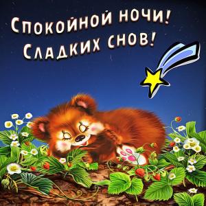 Картинка с медвежонком и падающей звездой