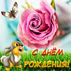 Милая картинка с зайчиком и яркой розой